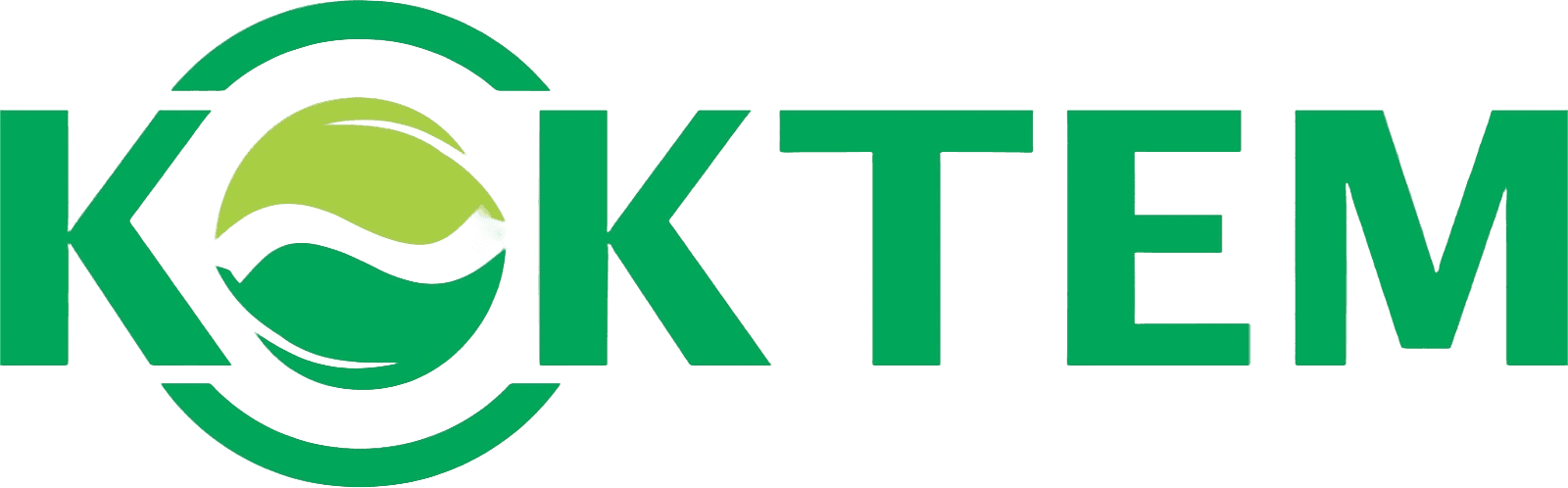 Koktem