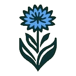 Vasilek