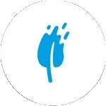 Asyl Miras